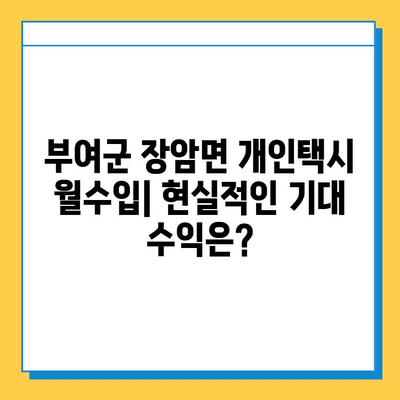 부여군 장암면 개인택시 면허 매매 가격| 오늘 시세, 번호판 넘버값, 자격조건, 월수입, 양수교육 | 상세 정보 가이드