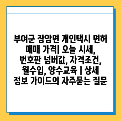 부여군 장암면 개인택시 면허 매매 가격| 오늘 시세, 번호판 넘버값, 자격조건, 월수입, 양수교육 | 상세 정보 가이드