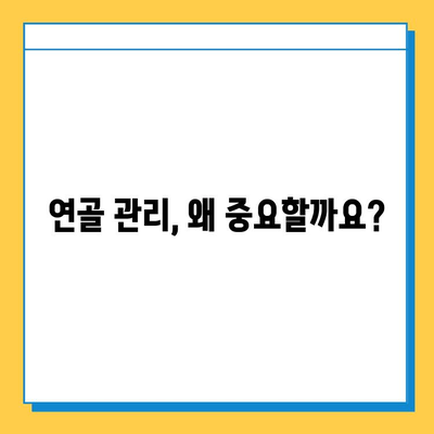 연골 관리 복합 식품| 약해지는 관절 건강을 위한 선택 가이드 | 관절 건강, 연골 관리, 복합 식품, 건강 관리