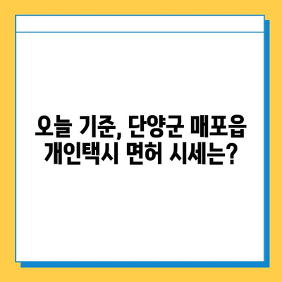 단양군 매포읍 개인택시 면허 매매 시세 & 가격 정보 | 오늘 기준, 번호판, 넘버값, 자격조건, 월수입, 양수교육