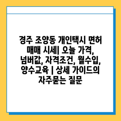 경주 조양동 개인택시 면허 매매 시세| 오늘 가격, 넘버값, 자격조건, 월수입, 양수교육 | 상세 가이드