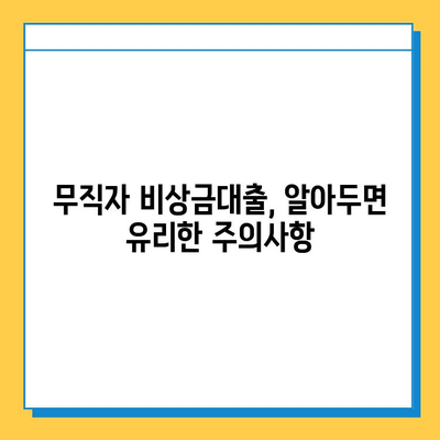 무직자 비상금대출 자격부터 신청까지 완벽 정리 | 조건, 한도, 필요서류, 주의사항