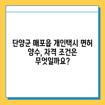 단양군 매포읍 개인택시 면허 매매 시세 & 가격 정보 | 오늘 기준, 번호판, 넘버값, 자격조건, 월수입, 양수교육