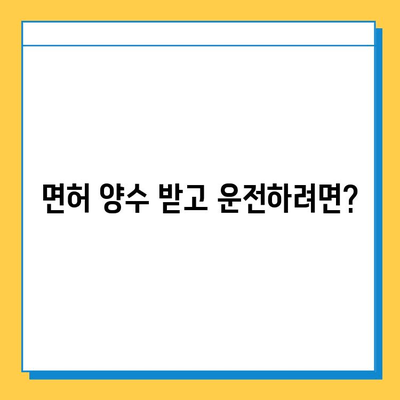 서울 송파구 가락본동 개인택시 면허 매매| 오늘 시세, 넘버값, 자격조건, 월수입, 양수교육 | 상세 가이드