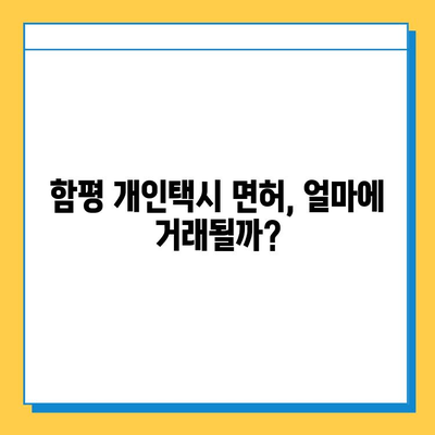 함평 개인택시 면허 매매 가격 & 시세 (오늘 기준) | 자격조건, 월수입, 양수교육 정보