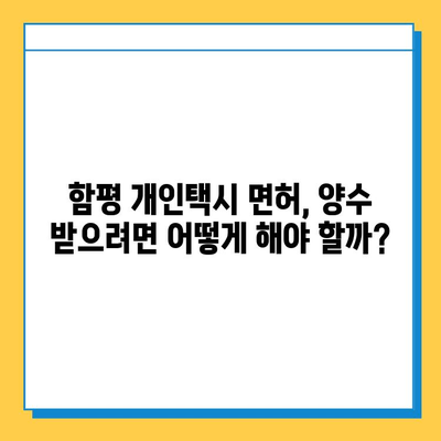 함평 개인택시 면허 매매 가격 & 시세 (오늘 기준) | 자격조건, 월수입, 양수교육 정보