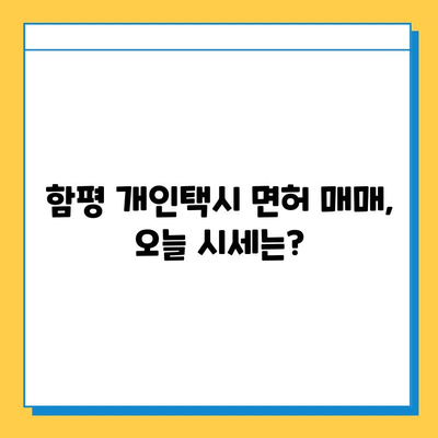 함평 개인택시 면허 매매 가격 & 시세 (오늘 기준) | 자격조건, 월수입, 양수교육 정보