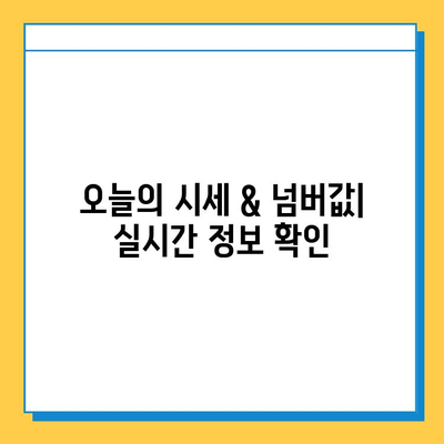 제주도 서귀포시 영천동 개인택시 면허 매매| 오늘 시세 & 넘버값 | 자격조건, 월수입, 양수교육