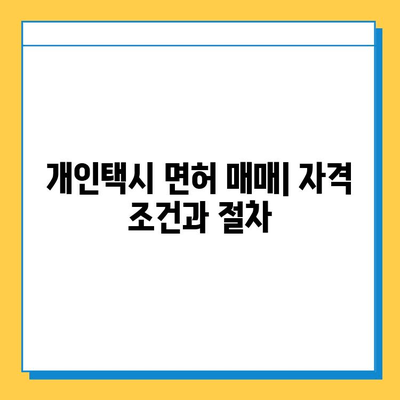 제주도 서귀포시 영천동 개인택시 면허 매매| 오늘 시세 & 넘버값 | 자격조건, 월수입, 양수교육