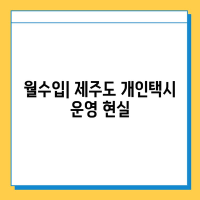 제주도 서귀포시 영천동 개인택시 면허 매매| 오늘 시세 & 넘버값 | 자격조건, 월수입, 양수교육