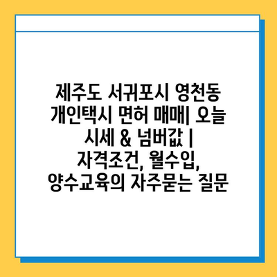 제주도 서귀포시 영천동 개인택시 면허 매매| 오늘 시세 & 넘버값 | 자격조건, 월수입, 양수교육