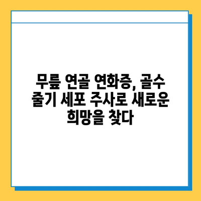 골수 줄기 세포 주사| 무릎 연골 연화증 치료의 가능성과 기대 효과 | 연골 재생, 치료법, 재활