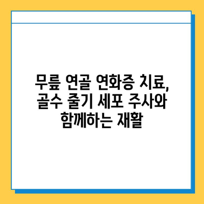 골수 줄기 세포 주사| 무릎 연골 연화증 치료의 가능성과 기대 효과 | 연골 재생, 치료법, 재활