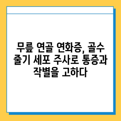 골수 줄기 세포 주사| 무릎 연골 연화증 치료의 가능성과 기대 효과 | 연골 재생, 치료법, 재활