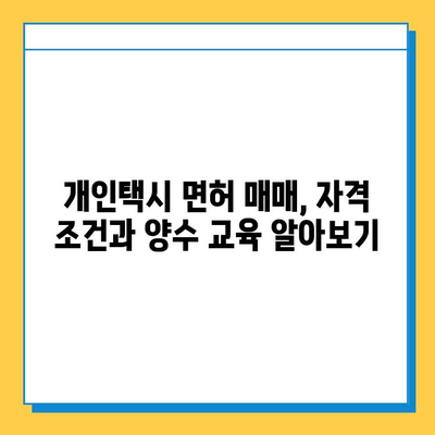 대전 서구 월평2동 개인택시 면허 매매 가격| 오늘 시세 확인 & 자격조건, 월수입, 양수교육 | 번호판, 넘버값, 면허 취득