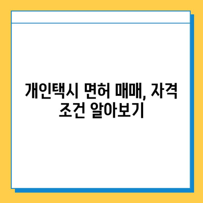 전라남도 화순군 북면 개인택시 면허 매매 가격| 오늘 시세, 넘버값, 자격조건, 월수입, 양수교육 | 상세 정보