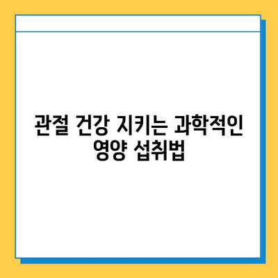 관절 건강, 과학적으로 지켜줄 영양제| 통증 완화와 건강 유지 | 관절연골, 영양제 추천, 건강 관리, 과학적 분석