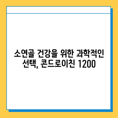 소연골 콘드로이친 1200| 관절 건강, 이제는 과학적으로 관리하세요! | 관절 연골, 건강 기능 식품, 콘드로이친 효능