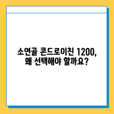 소연골 콘드로이친 1200| 관절 건강, 이제는 과학적으로 관리하세요! | 관절 연골, 건강 기능 식품, 콘드로이친 효능