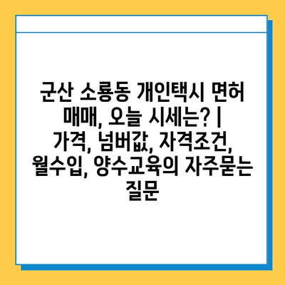 군산 소룡동 개인택시 면허 매매, 오늘 시세는? | 가격, 넘버값, 자격조건, 월수입, 양수교육