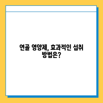 관절 건강 지키는 선택! 연골 영양제, 어떻게 고르고 어떤 변화 기대할까요? | 관절연골영양제, 선택 기준, 섭취 후 변화 비교, 효과, 추천