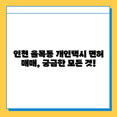 인천 중구 율목동 개인택시 면허 매매 가격| 오늘 시세 & 넘버값 | 자격조건, 월수입, 양수 교육