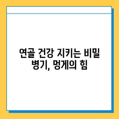 못난이 멍게| 연골 강화 영양 덩어리, 당신은 알고 있었나요? | 멍게 효능, 연골 건강, 영양 정보