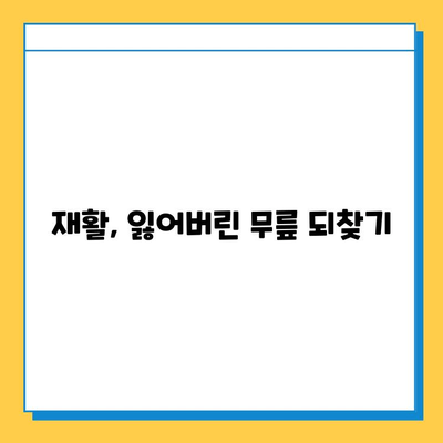 무릎 연골 파열 극복, 나의 회복 스토리 | 연골 파열, 재활, 운동, 수술, 팁