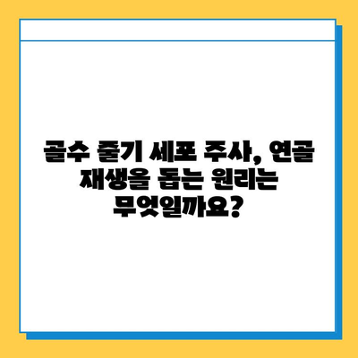 무릎 연골 연화증, 골수 줄기 세포 주사로 치료 가능할까요? | 연골 재생, 치료 효과, 부작용, 비용