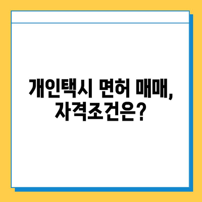 대구 동구 신천4동 개인택시 면허 매매 가격| 오늘 시세 & 자격조건 & 월수입 & 양수교육 | 넘버값, 번호판, 상세 정보