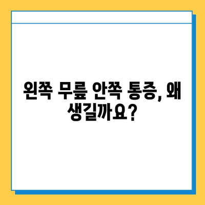 왼쪽 무릎 안쪽 통증, 원인과 연골 관리법| 5가지 주요 원인과 효과적인 관리 팁 | 무릎 통증, 연골 손상, 운동법