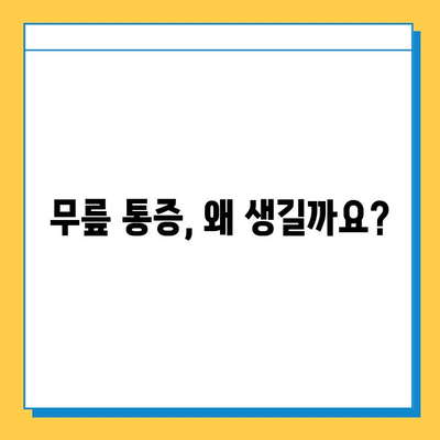 무릎 통증의 원인| 연골 관리법과 함께 통증 완화 전략 알아보기 | 무릎 통증, 연골 관리, 통증 완화, 운동, 식단