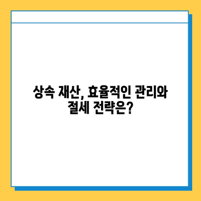 상속세 대폭 개편, 자녀 공제 5억원! 나에게 유리한 상속 계획은? | 상속세, 상속 공제, 상속 계획, 상속 재산