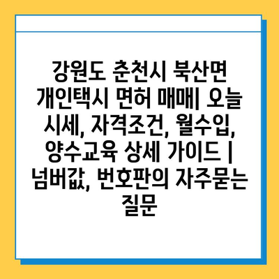 강원도 춘천시 북산면 개인택시 면허 매매| 오늘 시세, 자격조건, 월수입, 양수교육 상세 가이드 | 넘버값, 번호판