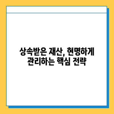 상속세 자녀 공제 5억원| 노후 사례 관리에 도움이 되는 핵심 정보 | 상속, 재산 관리, 노후 준비, 절세 팁