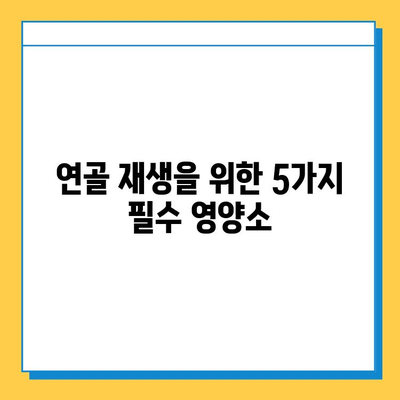 무릎연골 통증 완화에 도움되는 영양제 성분 5가지 | 관절 건강, 연골 재생, 통증 완화