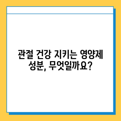 무릎연골 통증 완화에 도움되는 영양제 성분 5가지 | 관절 건강, 연골 재생, 통증 완화