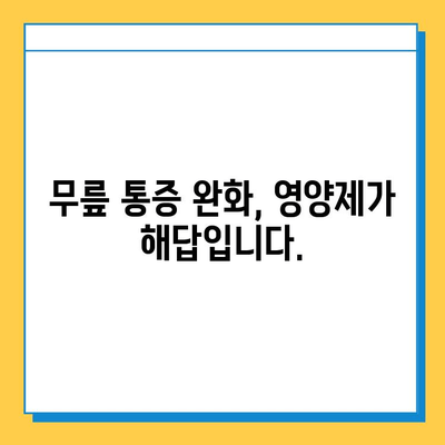 무릎연골 통증 완화에 도움되는 영양제 성분 5가지 | 관절 건강, 연골 재생, 통증 완화