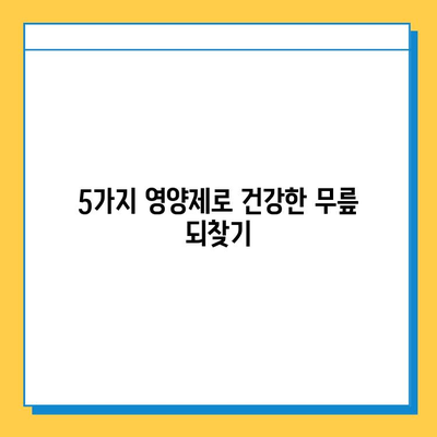 무릎연골 통증 완화에 도움되는 영양제 성분 5가지 | 관절 건강, 연골 재생, 통증 완화