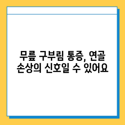 무릎 구부림 통증 완화를 위한 연골 관리 핵심 포인트 | 무릎 통증, 연골 재생, 운동, 식단