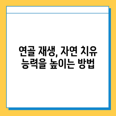 무릎 구부림 통증 완화를 위한 연골 관리 핵심 포인트 | 무릎 통증, 연골 재생, 운동, 식단