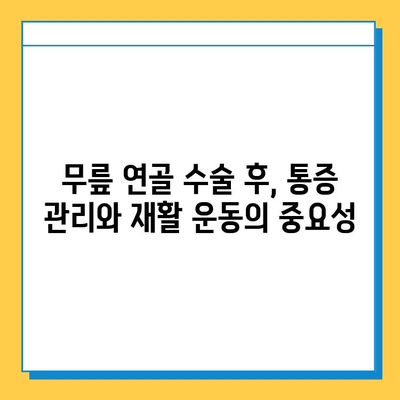 무릎 연골 수술 후 빠른 회복을 위한 맞춤형 재활 가이드 | 무릎 연골 수술, 재활 운동, 회복 기간, 통증 관리