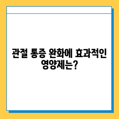 무릎 연골 건강 지키는 영양제 비교 & 추천 | 연골 재생, 관절 통증 완화, 효과적인 영양제 섭취 가이드