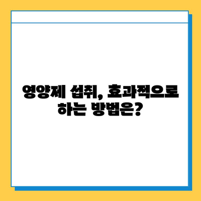 무릎 연골 건강 지키는 영양제 비교 & 추천 | 연골 재생, 관절 통증 완화, 효과적인 영양제 섭취 가이드