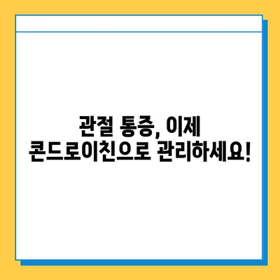 호주 관절 건강을 위한 선택! 콘드로이친 관절연골영양제 추천 가이드 | 호주, 관절, 연골, 건강, 영양제, 콘드로이친, 추천