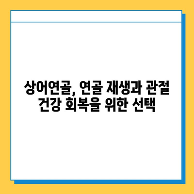 상어연골| 관절 건강을 위한 자연의 선택 | 관절염 완화, 연골 재생, 부작용, 효능, 복용법