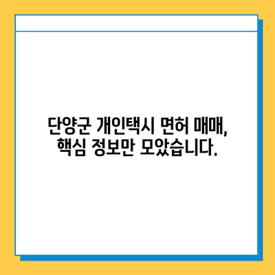 단양군 개인택시 면허 매매 가격 & 정보| 오늘 시세, 넘버값, 자격조건, 월수입, 양수교육 | 단양읍, 택시 면허, 택시 사업