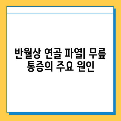 반월상연골파열, 증상과 치료법 완벽 가이드 | 무릎 통증, 재활, 수술