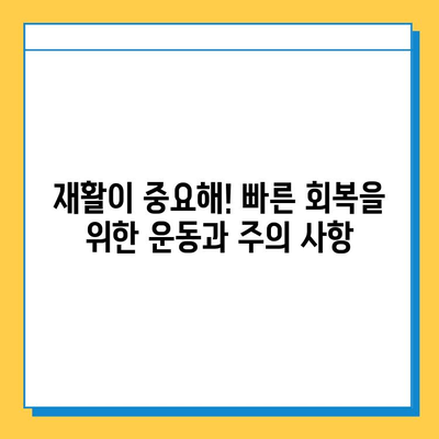 반월상연골파열, 증상과 치료법 완벽 가이드 | 무릎 통증, 재활, 수술