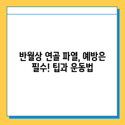 반월상연골파열, 증상과 치료법 완벽 가이드 | 무릎 통증, 재활, 수술